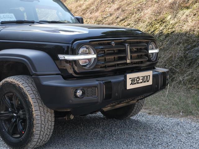 �������������ڻ��£�ֻ�����Ǹҳ�ԽҰ�� 20���������أ�-22.jpg