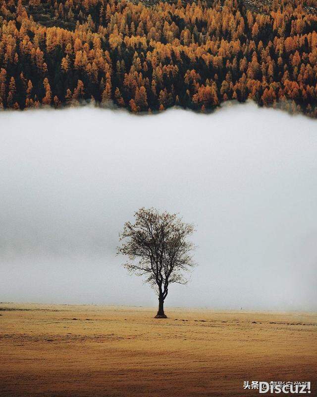 7ӰɣӰĳƬֱģ¾Ϳ-13.jpg