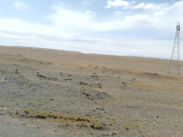 Լݴ--ػ߹-76.jpg