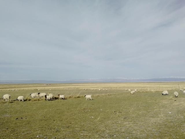 Լݴ--ػ߹-79.jpg