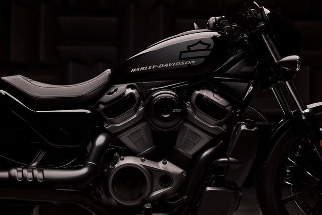 ˮ2022Nightsterⷢ-5.jpg
