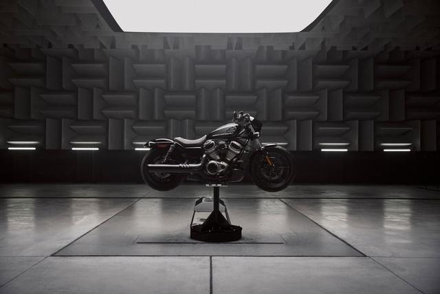 ˮ2022Nightsterⷢ-10.jpg