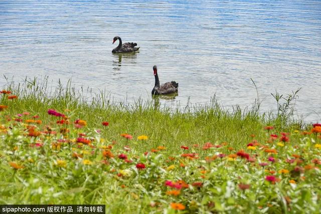 4������·���Ƽ� | �Ƶ����ᣬ���и��ܾ��ǳ���֮����-2.jpg