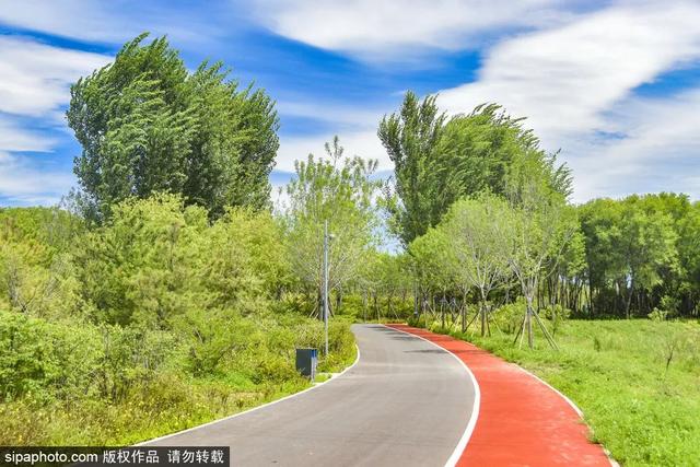 4������·���Ƽ� | �Ƶ����ᣬ���и��ܾ��ǳ���֮����-3.jpg