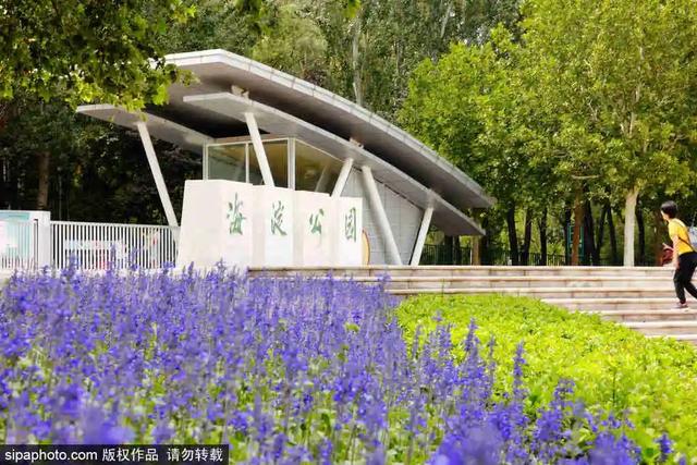 4������·���Ƽ� | �Ƶ����ᣬ���и��ܾ��ǳ���֮����-8.jpg