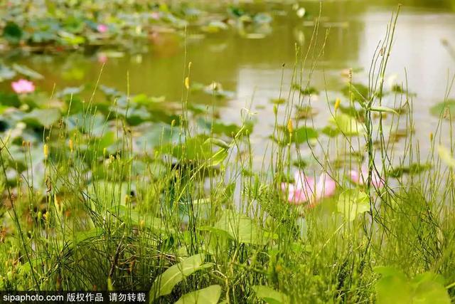 4������·���Ƽ� | �Ƶ����ᣬ���и��ܾ��ǳ���֮����-9.jpg