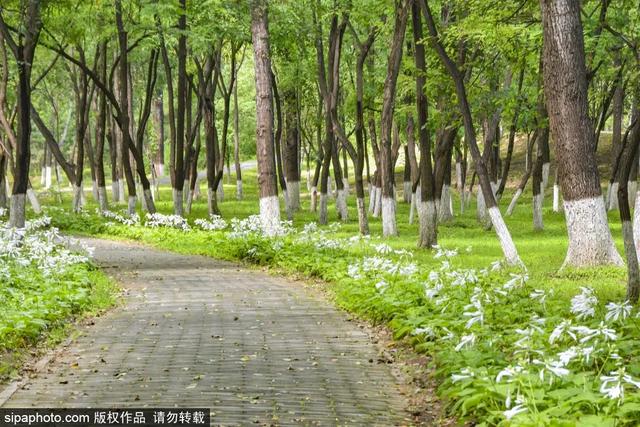 4������·���Ƽ� | �Ƶ����ᣬ���и��ܾ��ǳ���֮����-6.jpg