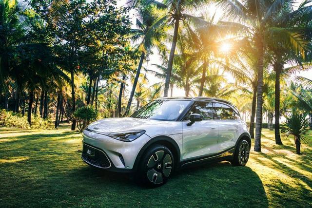 �ۼ�22.9��Ԫ��ȫ��smart����#1 Pulse�Ķ�����ʽ����-5.jpg