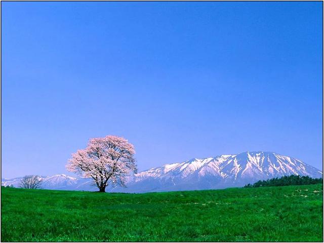100׳۵ĶƬ-41.jpg