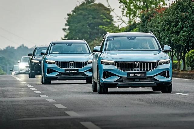 ��ר�ⱨ������ת������ | �ͼFREE-1.jpg