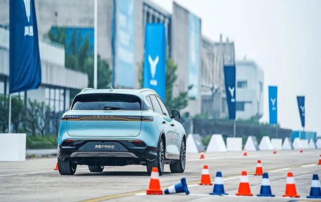 ��ר�ⱨ������ת������ | �ͼFREE-8.jpg