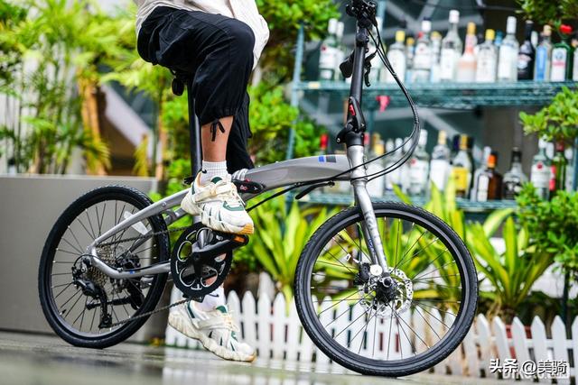 ����̽���� Tern Verge D9�۵����г�����-21.jpg