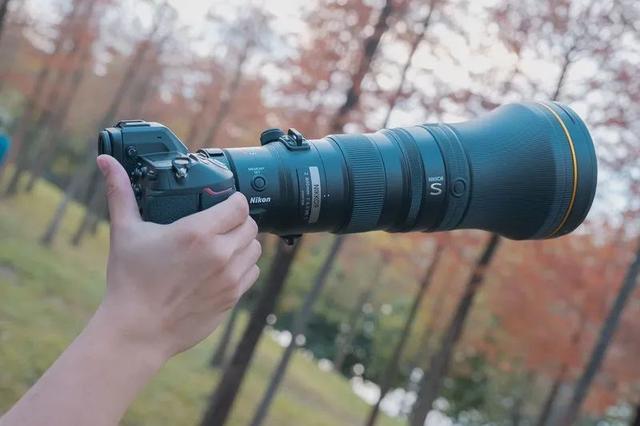 聚焦生态、航空摄影！轻量高性能镜头尼克尔 Z 800mm f/6.3 VR S评测-7.jpg