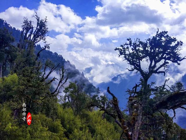 ��Խ�����ͨ�������10�죬̽�ض�������Ӧ��ī�� ȫ���ټ�����-23.jpg