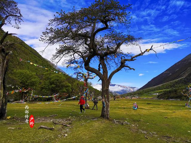 ��Խ�����ͨ�������10�죬̽�ض�������Ӧ��ī�� ȫ���ټ�����-28.jpg