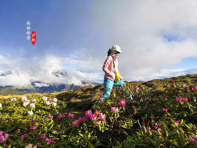 ��Խ�����ͨ�������10�죬̽�ض�������Ӧ��ī�� ȫ���ټ�����-30.jpg