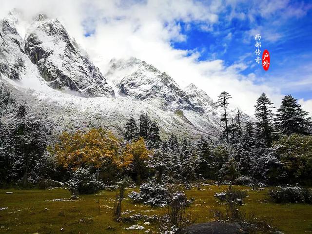 ��Խ�����ͨ�������10�죬̽�ض�������Ӧ��ī�� ȫ���ټ�����-45.jpg