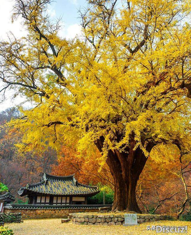 ӰۣճĳÿƬ7Ӱ-11.jpg