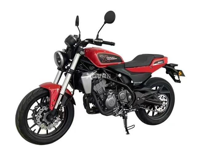 钱江哈雷国产摩托尘埃落定 350&amp;500两款“泥地赛车”-3.jpg