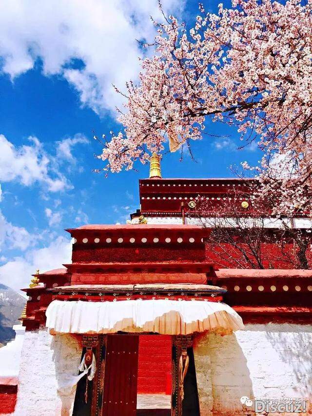丁真来拉萨啦！今年拉萨最美旅游月历请查收！-8.jpg
