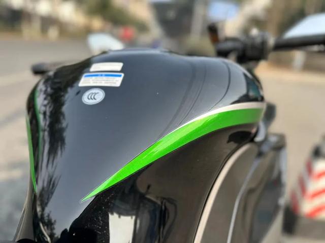 ϸNinja1000SXΪ;̬ܽᣩ-8.jpg