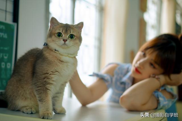 疫情期间，在家拍好看照片，这10个摄影技巧帮你，新手学了就会-10.jpg