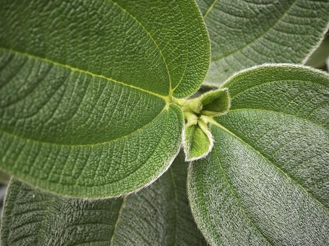 С�� 13 Pro �׷����飺һӢ���ף��մɻ����������׷� MIUI 14-24.jpg