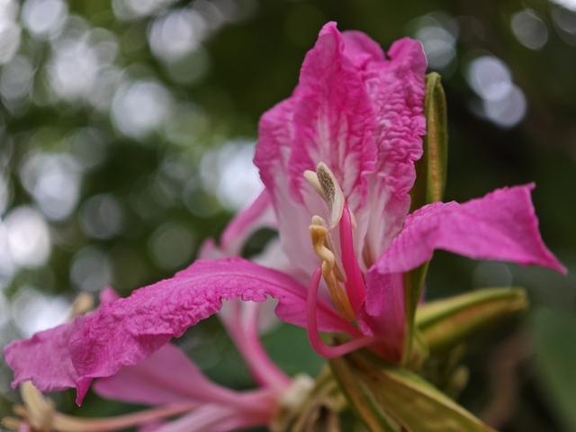 С�� 13 Pro �׷����飺һӢ���ף��մɻ����������׷� MIUI 14-23.jpg