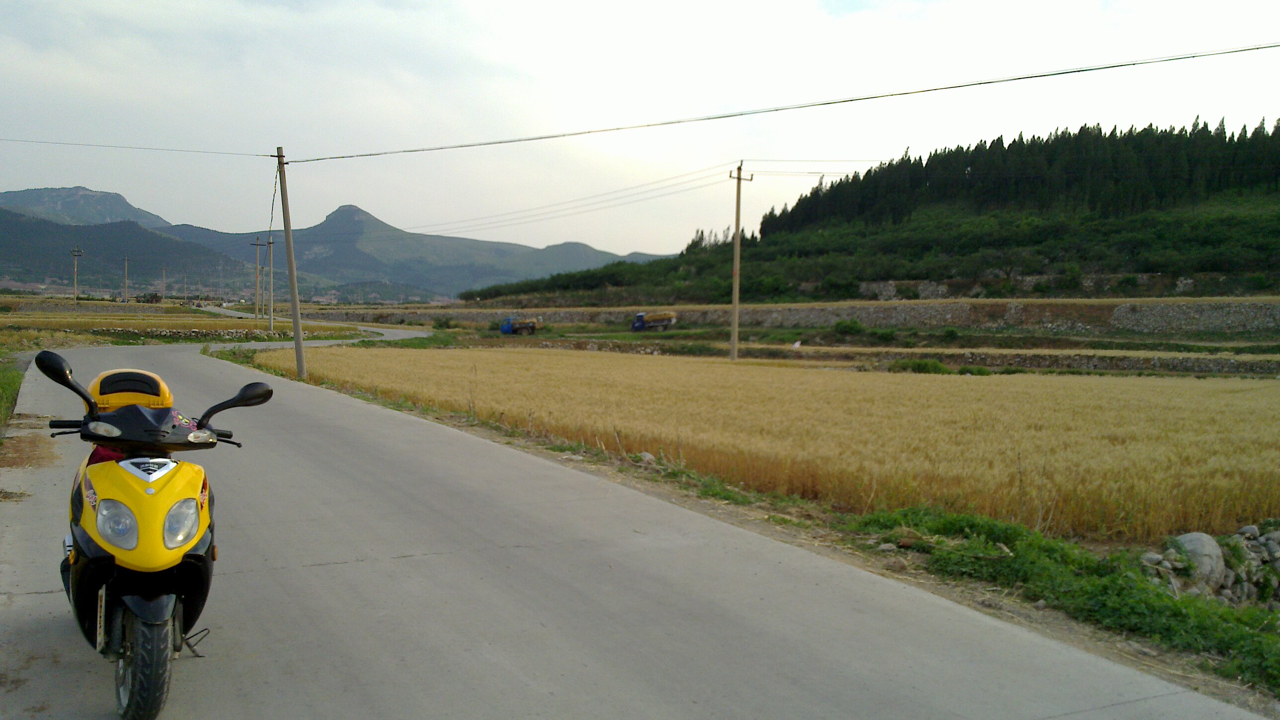 20100607_072.jpg