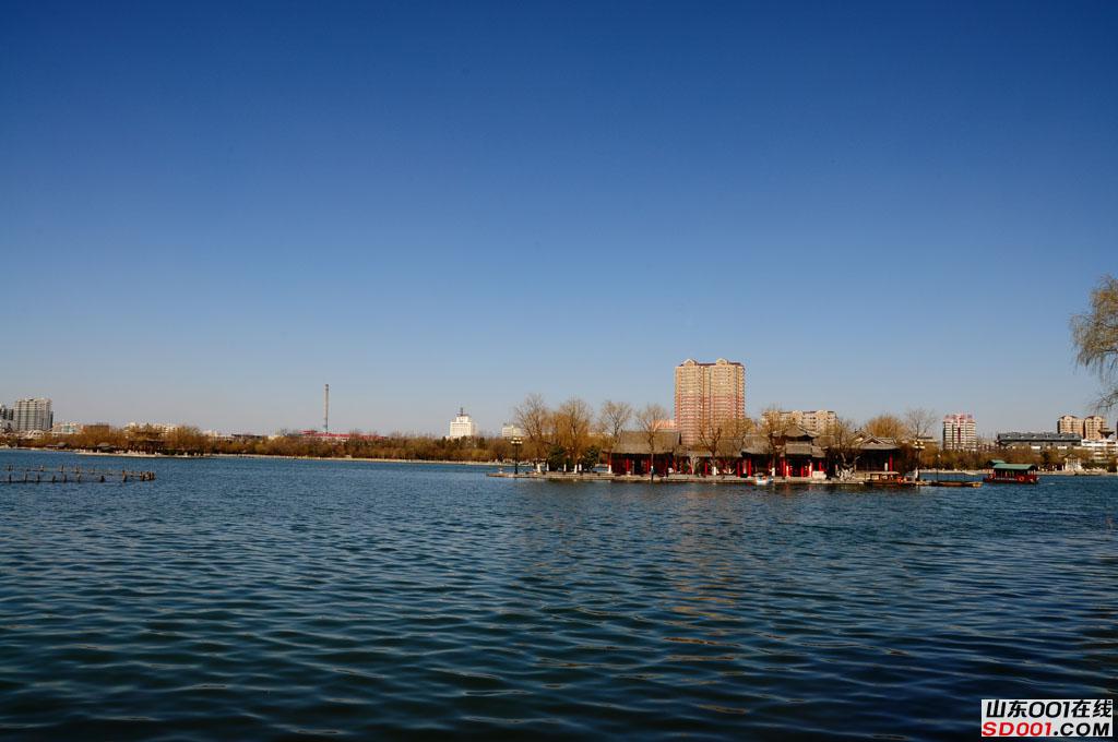 DSC_3170.JPG