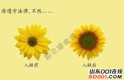 入狱前 入狱后。怪不得要越狱-济南-超级灌水区