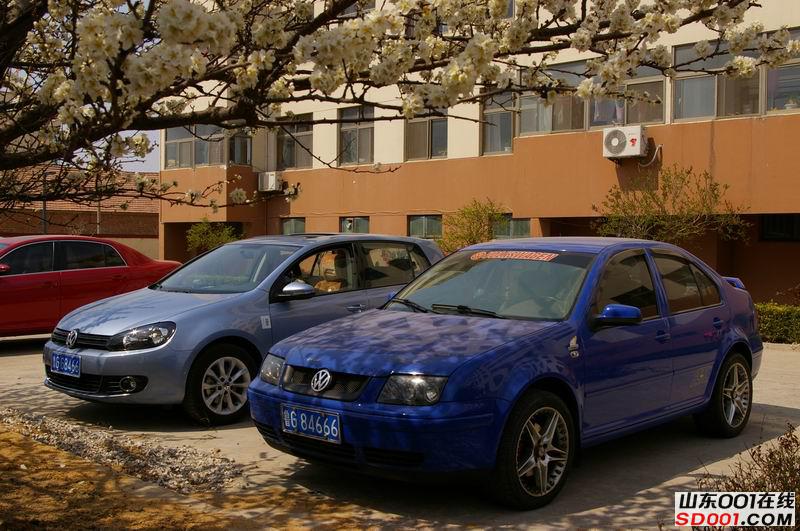 ������С IMGP8295.JPG