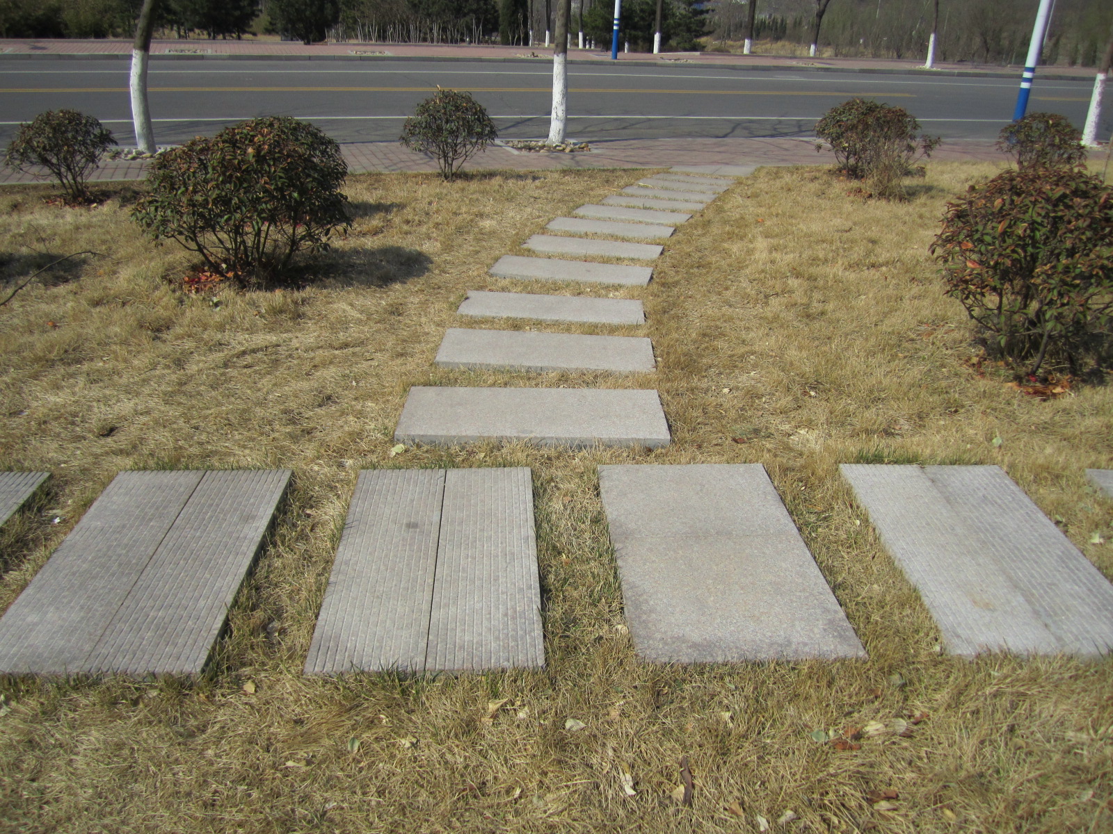 丁字路.JPG