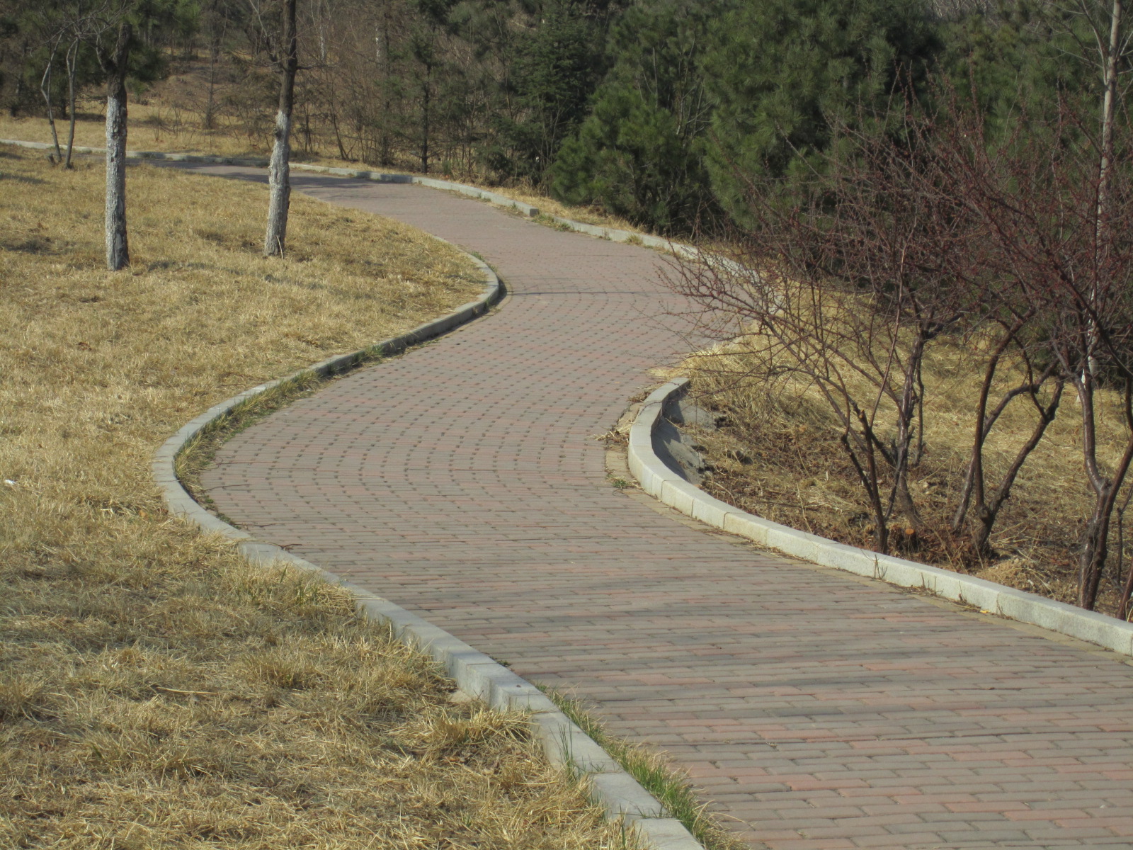 s路.JPG