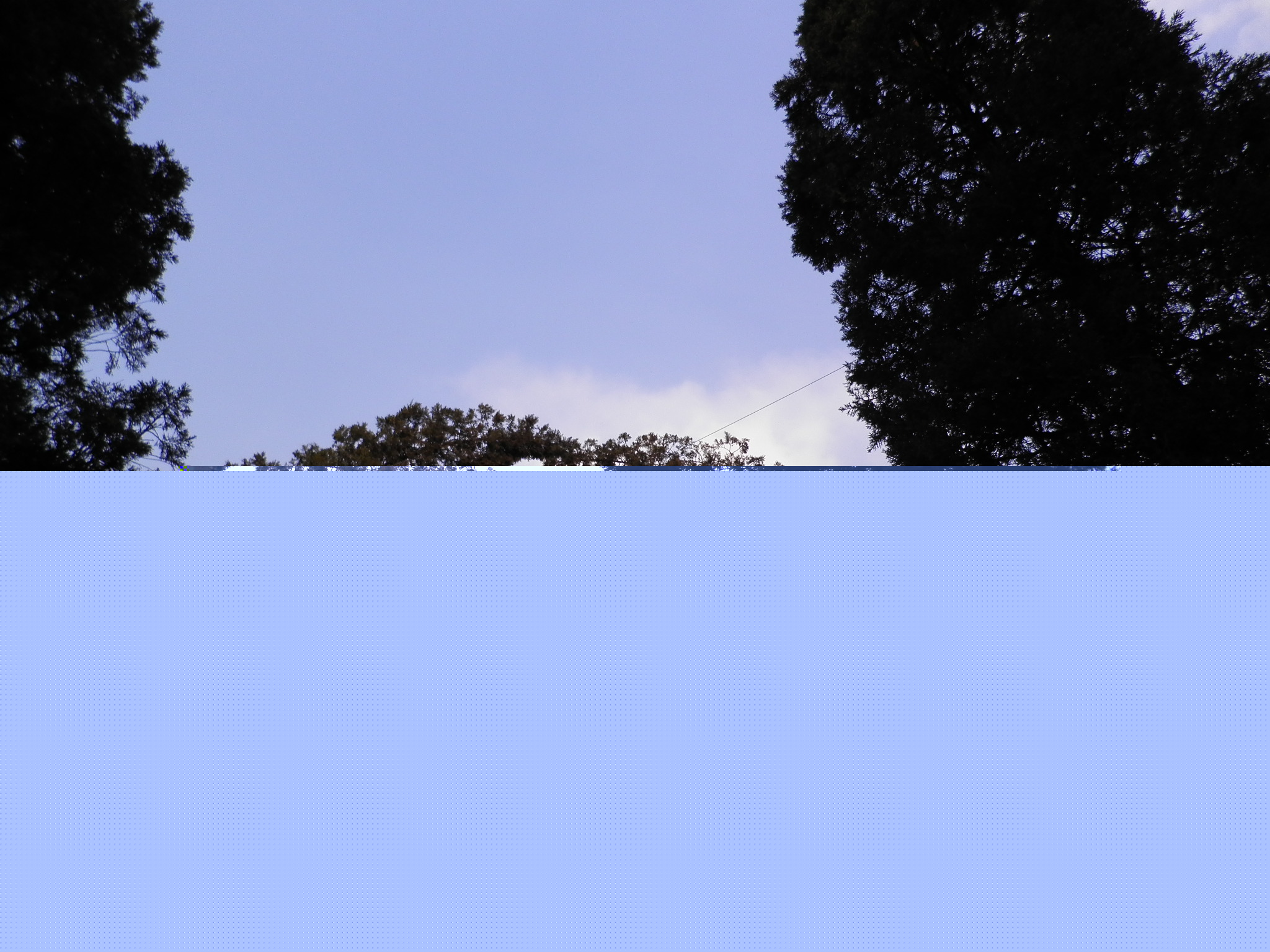 һɫ.JPG