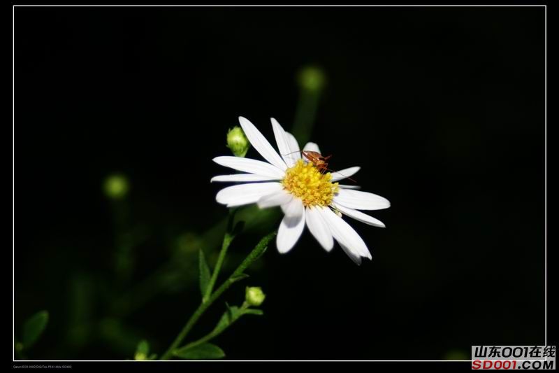 ������С IMG_2413.jpg