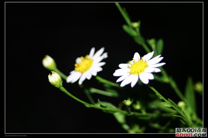 ������С IMG_2416.jpg