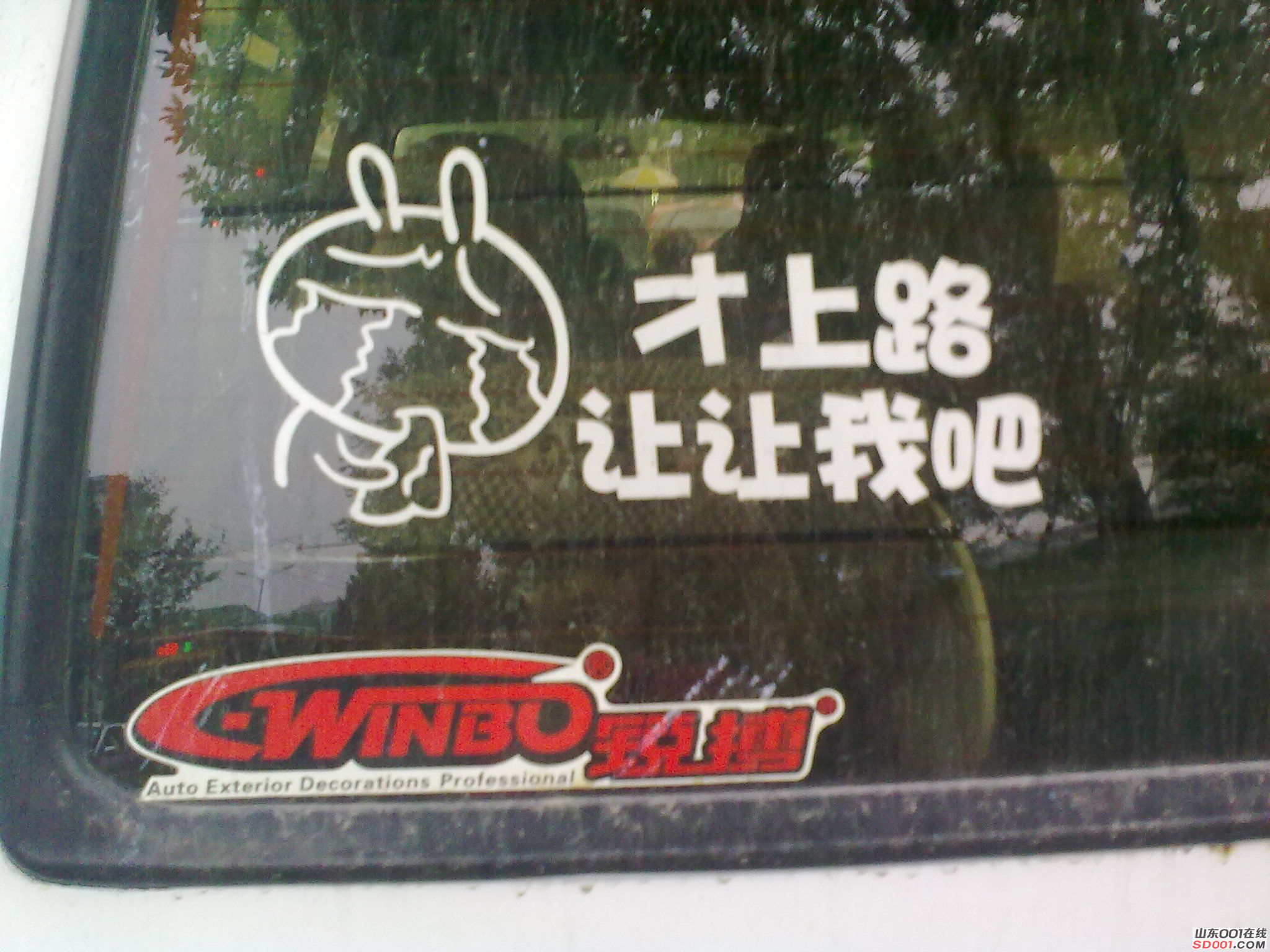 20100625111.jpg