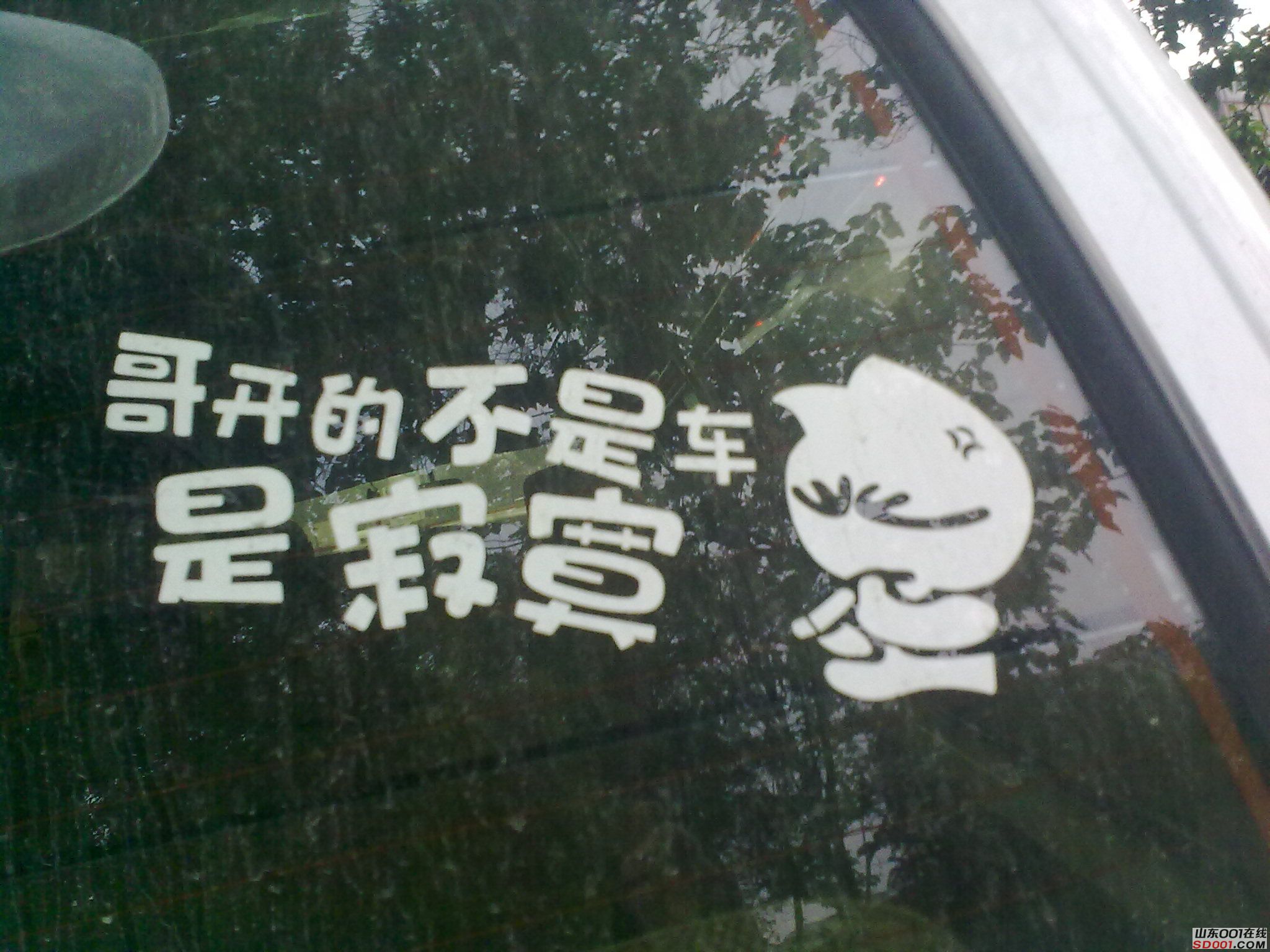 20100625110.jpg