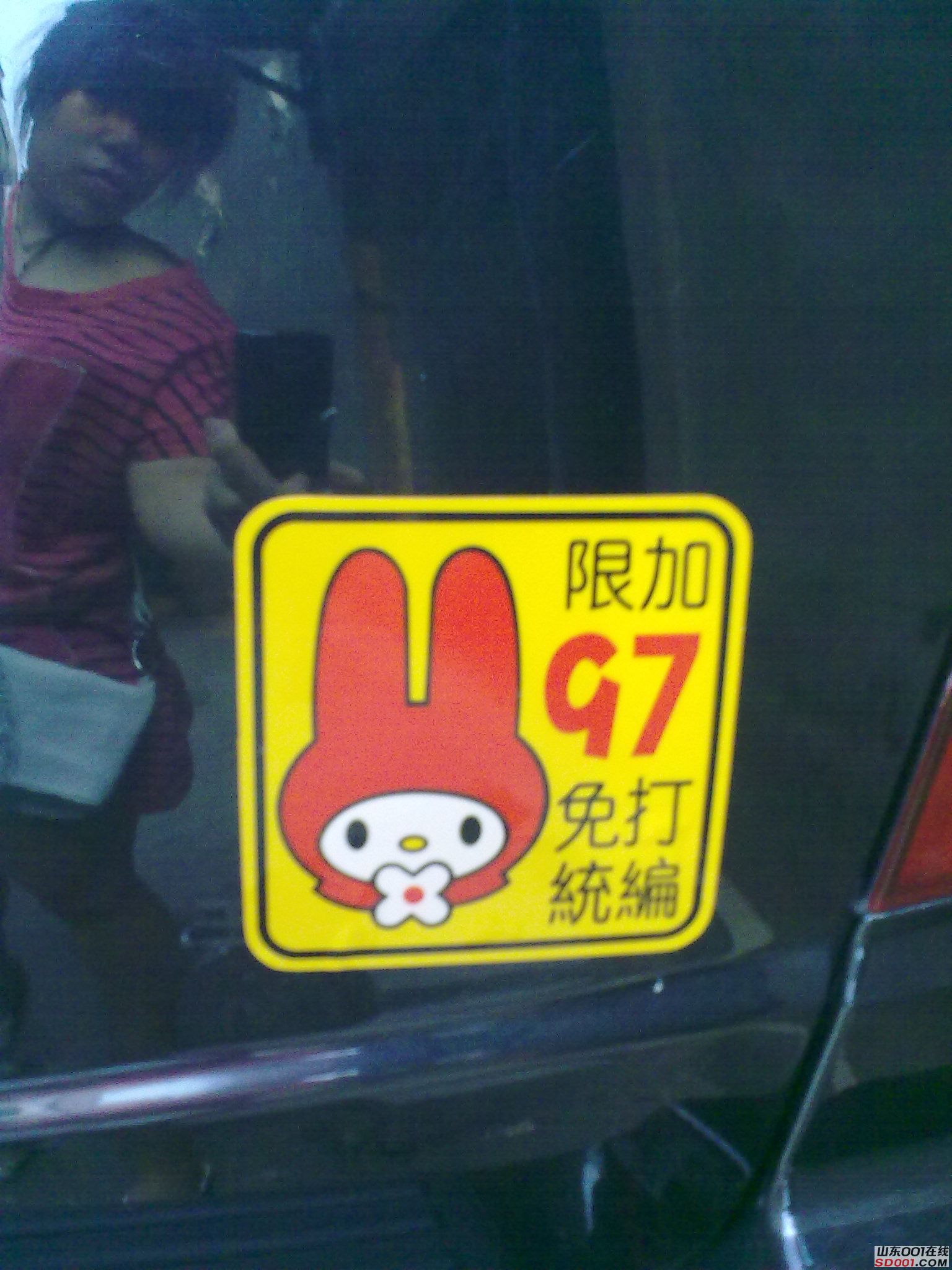 20100626117.jpg