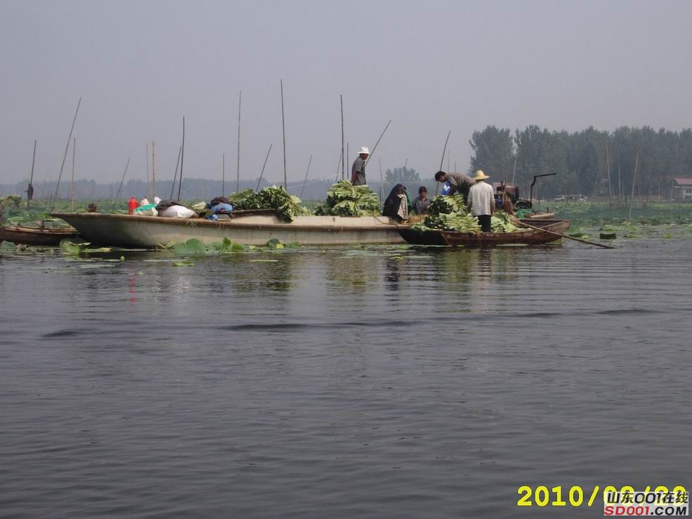 邹城市有多少人口_2014邹城秋季大型车展交通指南地图 公交 地铁 自驾交通指引(3)