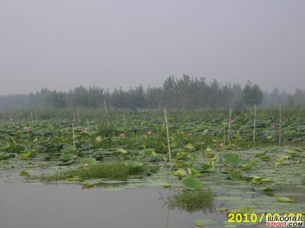 邹城市有多少人口_2014邹城秋季大型车展交通指南地图 公交 地铁 自驾交通指引(3)