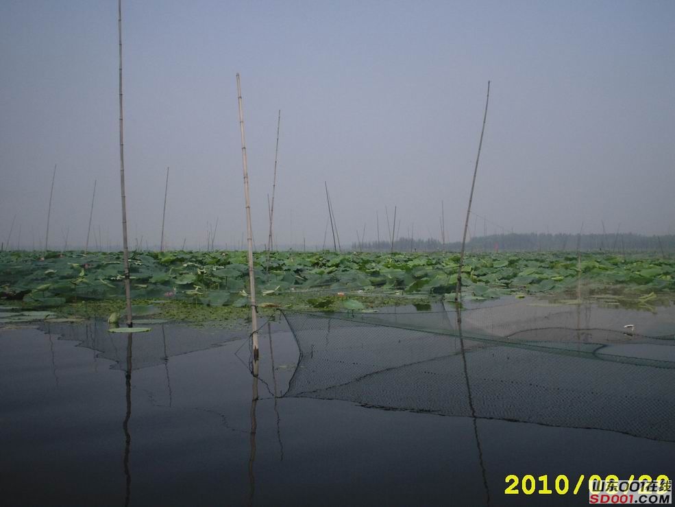 邹城市有多少人口_2014邹城秋季大型车展交通指南地图 公交 地铁 自驾交通指引(3)