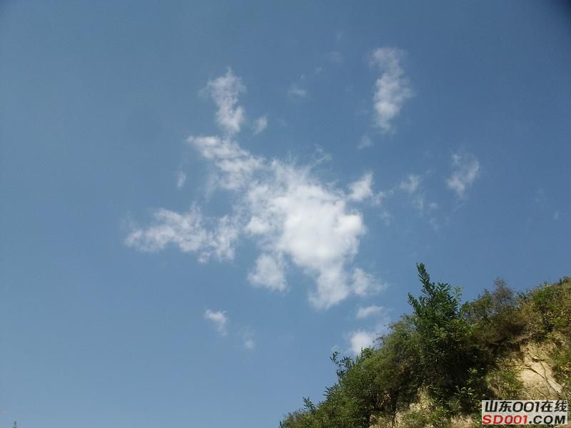 ALIM0231调整后ALIM0231.JPG