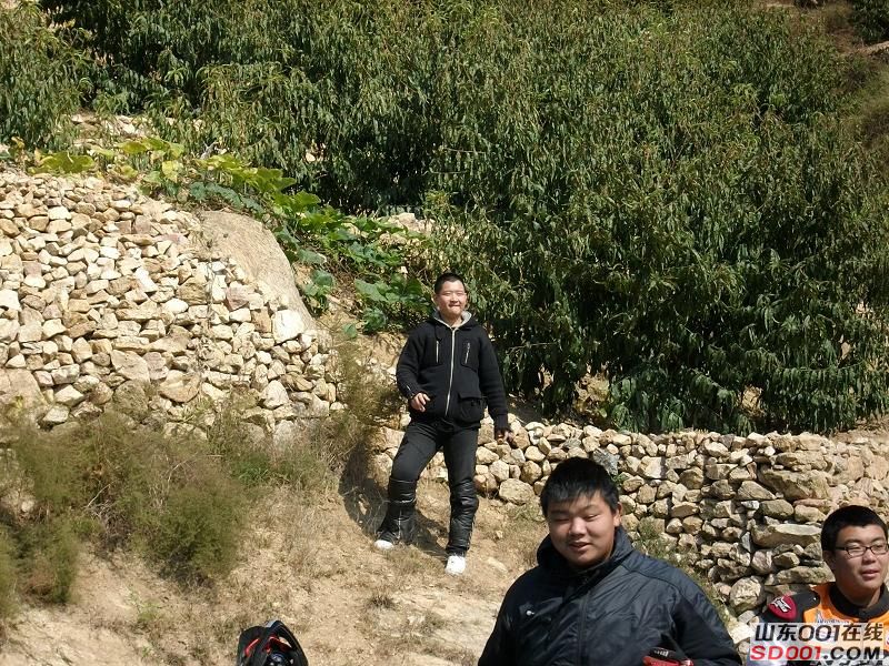 ALIM0216调整后ALIM0216.JPG