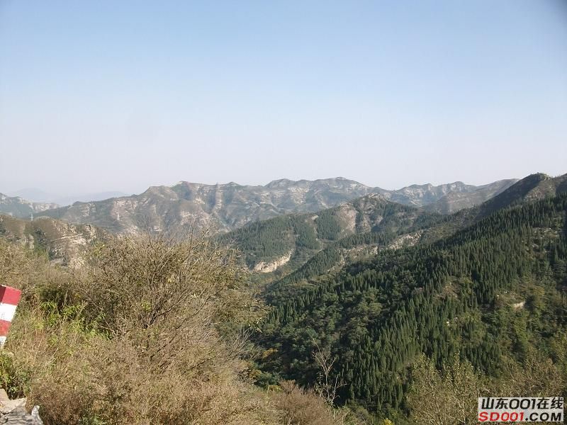 ALIM0275调整后ALIM0275.JPG