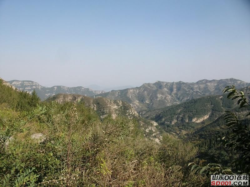 ALIM0278调整后ALIM0278.JPG