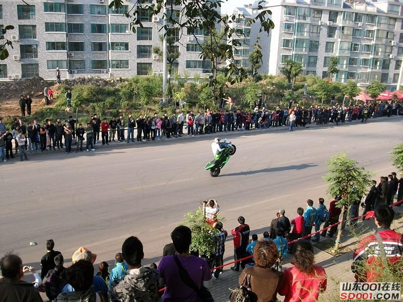ALIM0279调整后ALIM0279.JPG