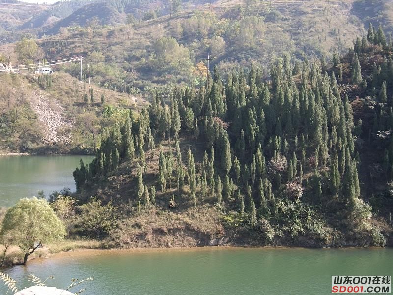 ALIM0269调整后ALIM0269.JPG