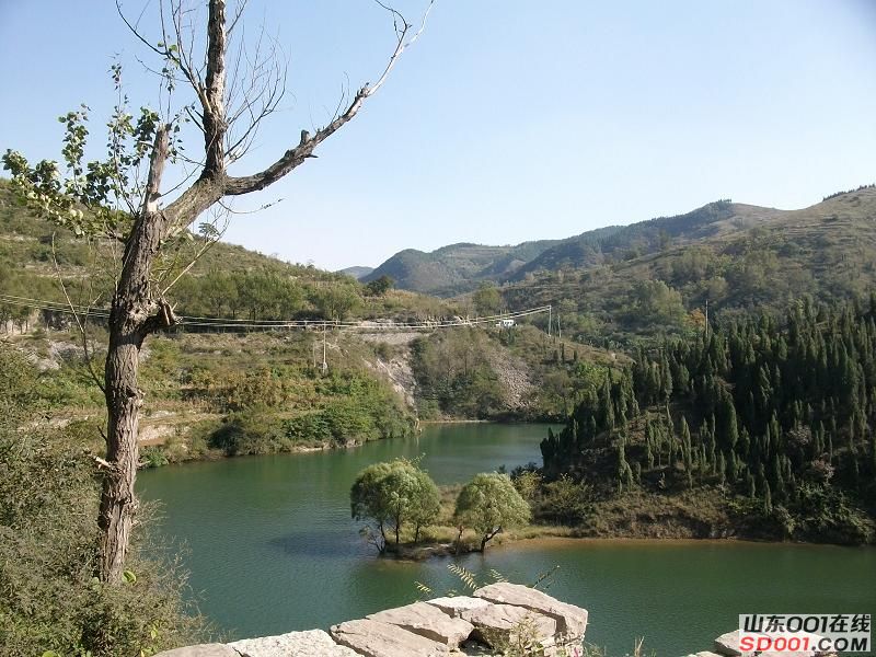 ALIM0267调整后ALIM0267.JPG